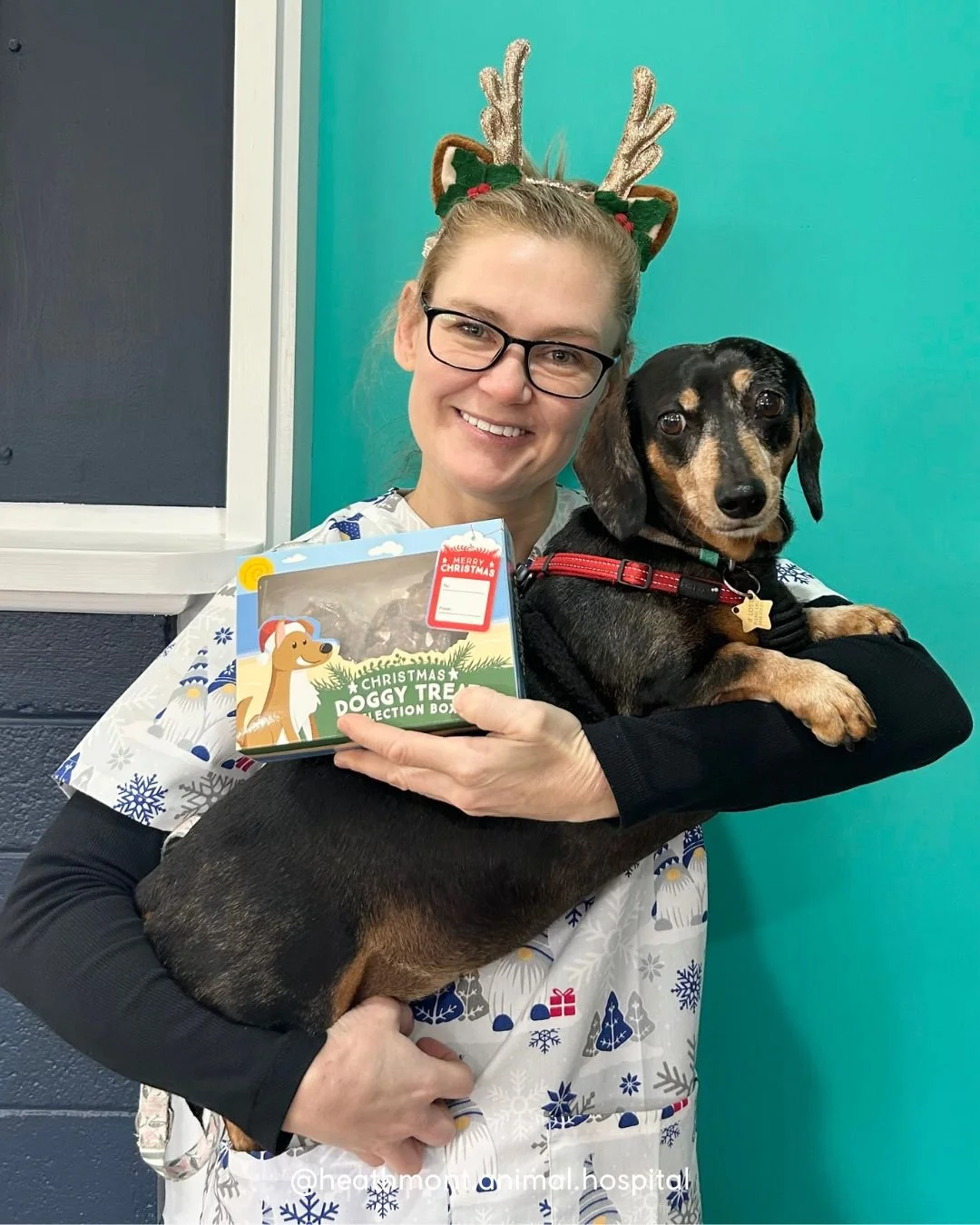 Looking for the 'paw-fect' last minute Christmas gift? 🎁🐾
Our festive doggy treats are back for a limited time, available in Coconut Rough and Peanut Butter &mdash; $15 each.

Pictured: vet nurse Elyse and sweet Sadie the Dachshund showing off the 