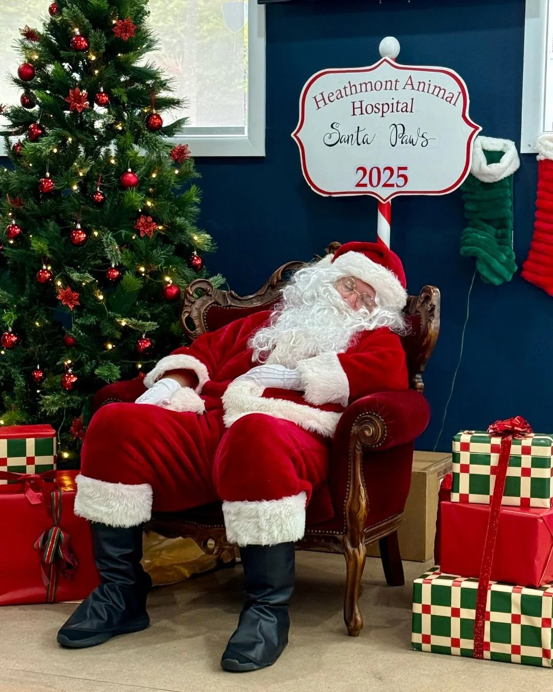 🎄🐾 Merry Christmas from the team at Heathmont Animal Hospital! 🐾🎄

We'll be sleeping like Santa Paws over the next few days 😴 

Wishing you and your beloved pets a holiday season!
Thank you for trusting us to care for your precious pets this yea