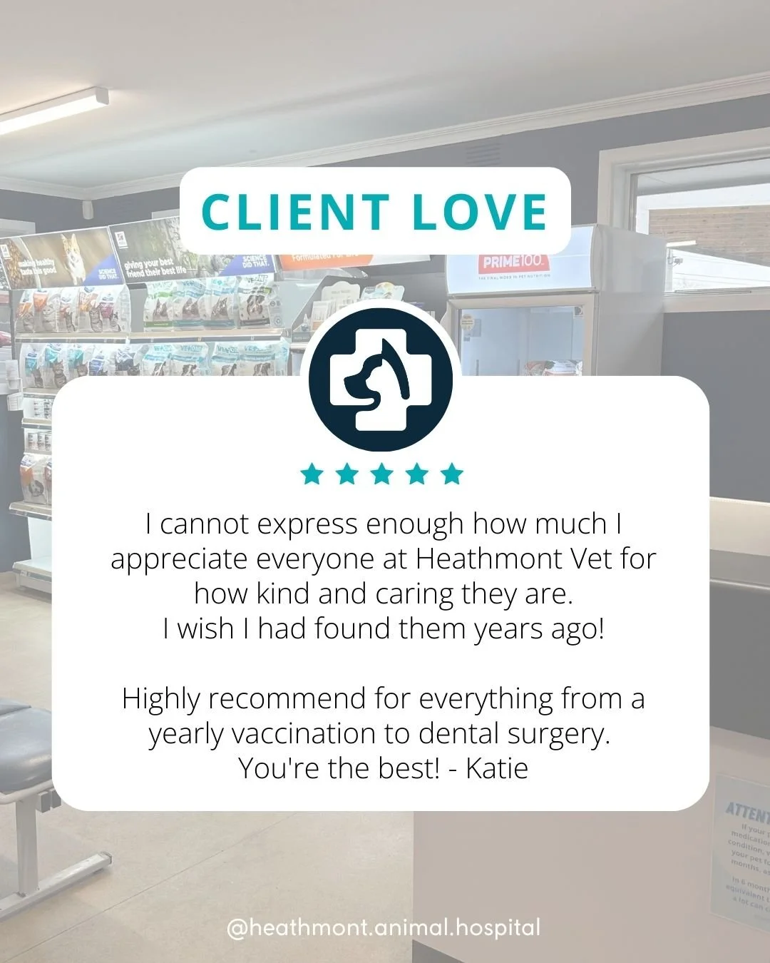 As a small business, it truly means so much to us when you share how you felt about your experience at our clinic. We are so grateful for our wonderful clients who recommend us so we can continue to provide the best care for people and their pets.

I