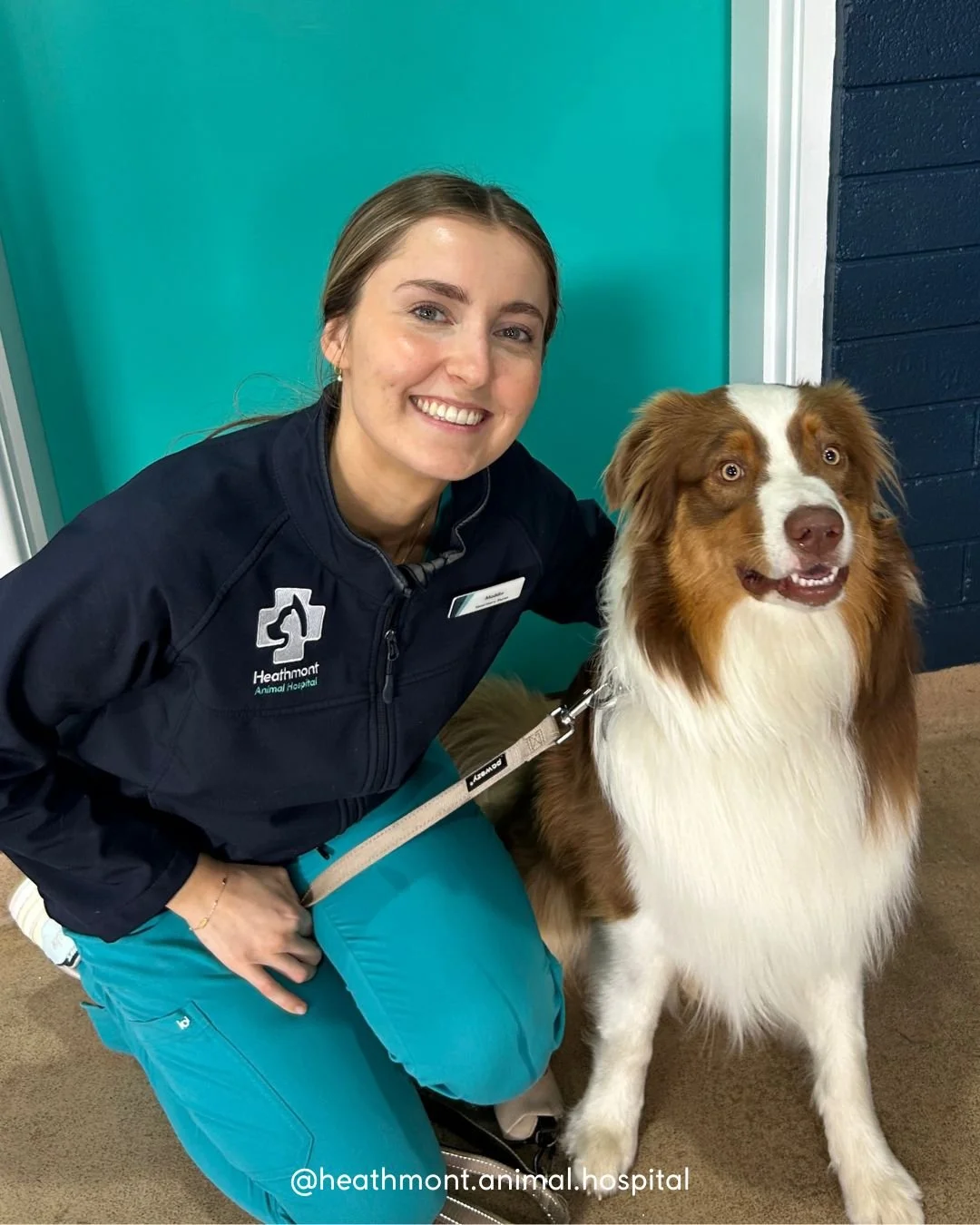 Gorgeous Stoki the Australian Shepherd was so brave for his vaccination! 💉🐾
He was a little shocked when vet nurse Maddie surprised him with a kiss&hellip;but quickly decided it was only fair to give one back! 😘🐶💙

(Stoki is Maddie's nephew, all