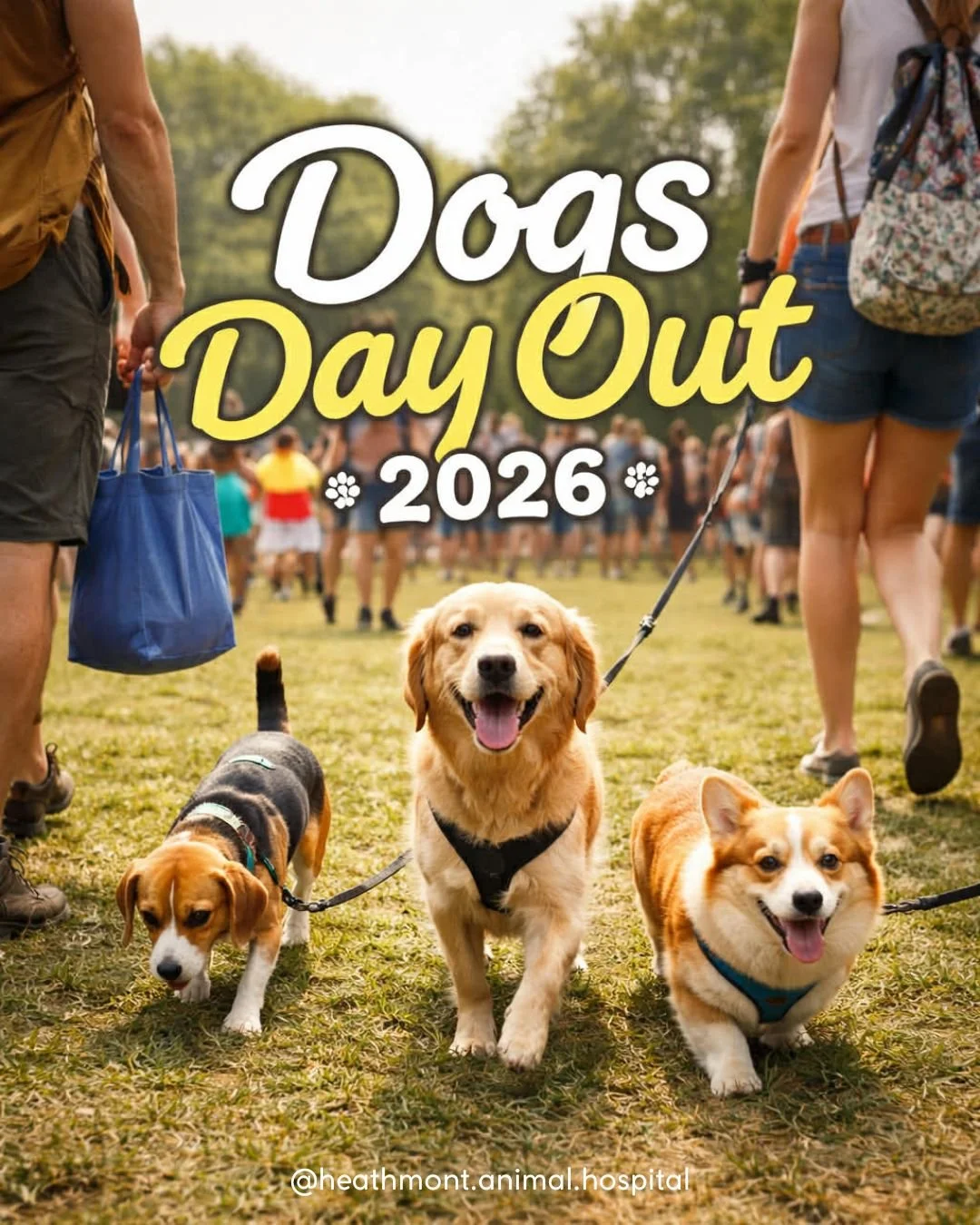 🐾 Calling all dog lovers! 🐶

Join the HAH team at Dogs Day Out this Sunday for a tail-wagging good time! 🎉

📍 HE Parker Reserve, 150 Heathmont Road, Heathmont 3135�🕙 10am&ndash;1pm�💸 FREE entry

From adorable dog competitions 🏆 and exciting de