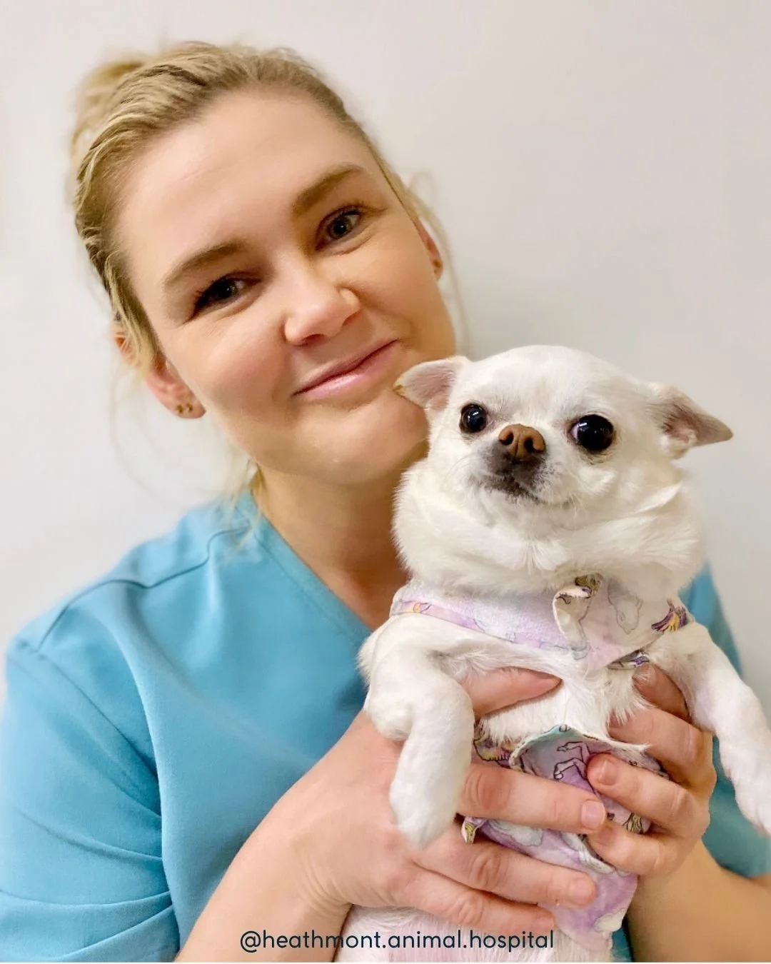 After an amazing 19 years with us, we are saying goodbye to our beautiful vet nurse Elyse 💙🐾

Elyse has been part of our clinic for nearly half of its 40+ year history, which is truly something special. Her skill, knowledge and experience has playe