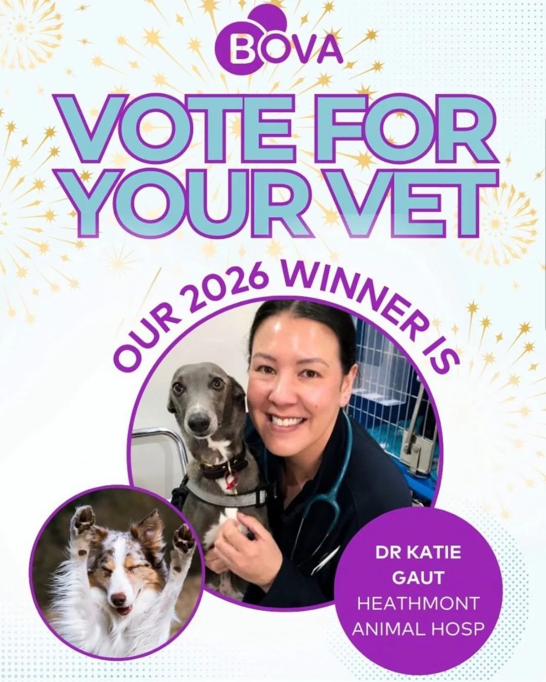 We&rsquo;re incredibly proud to share that our very own Dr Katie Gaut has been named BOVA&rsquo;s 2026 Vote for Your Vet winner! 🏆

A heartfelt thank you to our amazing clients who took the time to vote, and who continue to show us such kindness and