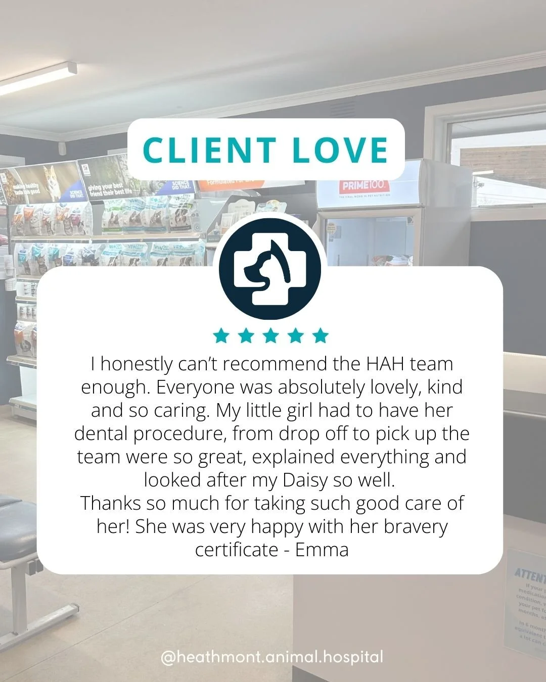 As a small business, it truly means so much to us when you share how you felt about your experience at our clinic. We are so grateful for our wonderful clients who recommend us so we can continue to provide the best care for people and their pets.

I