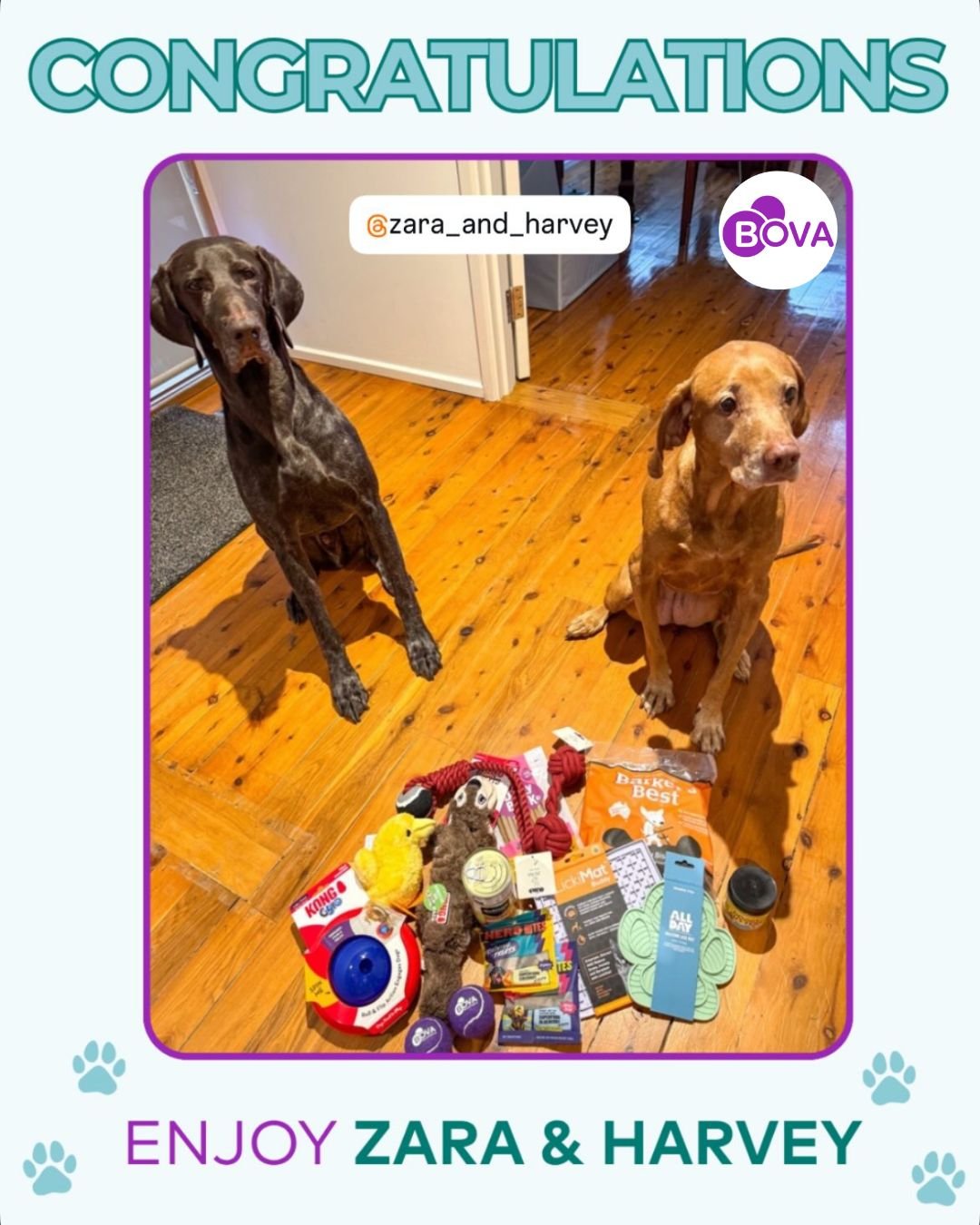 A big thank you to Harvey and Zara (and their lovely owner!) for voting for Dr Katie in the BOVA &ldquo;Vote for Your Vet&rdquo; competition&mdash;and winning a hamper! 🎉

We&rsquo;re so grateful for your support and kind words. It means the world t