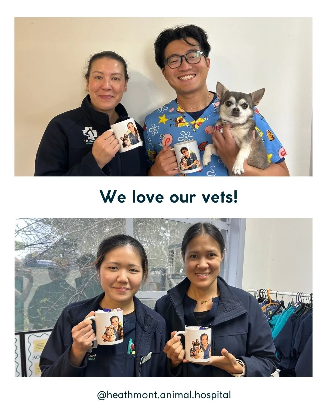 Recently we celebrated World Veterinary Day 🐾💙

A big shoutout to our incredible vets here at Heathmont Animal Hospital&mdash;and to veterinary teams everywhere&mdash;who show up every day with compassion, skill, and dedication to care for all anim