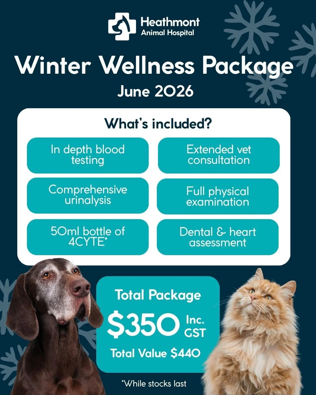 ❄️🐾 Winter Wellness Packages are back! 🐾❄️

It's officially the first week of winter and for this month only, we're excited to relaunch our popular Winter Wellness Package for our senior pets!

💙 **$350** (valued at $440)

**What's included?**
✔️ 