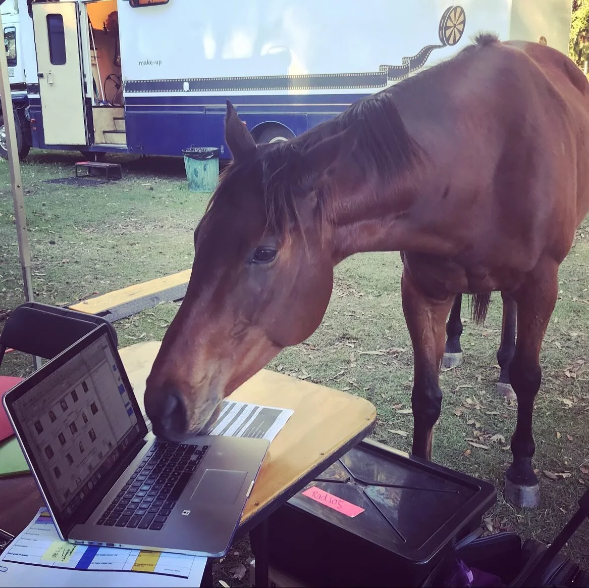 You never know where this job might take you! ❤️
Flashback #2018 - First Casting job 🥰
- Extras Check In was made a bit difficult with these guys hanging around 🐴❤️
.
.
.
.
.
.
.
.
#queensland #filming #tvseries #lunatics #goldcoast #work #unitbase
