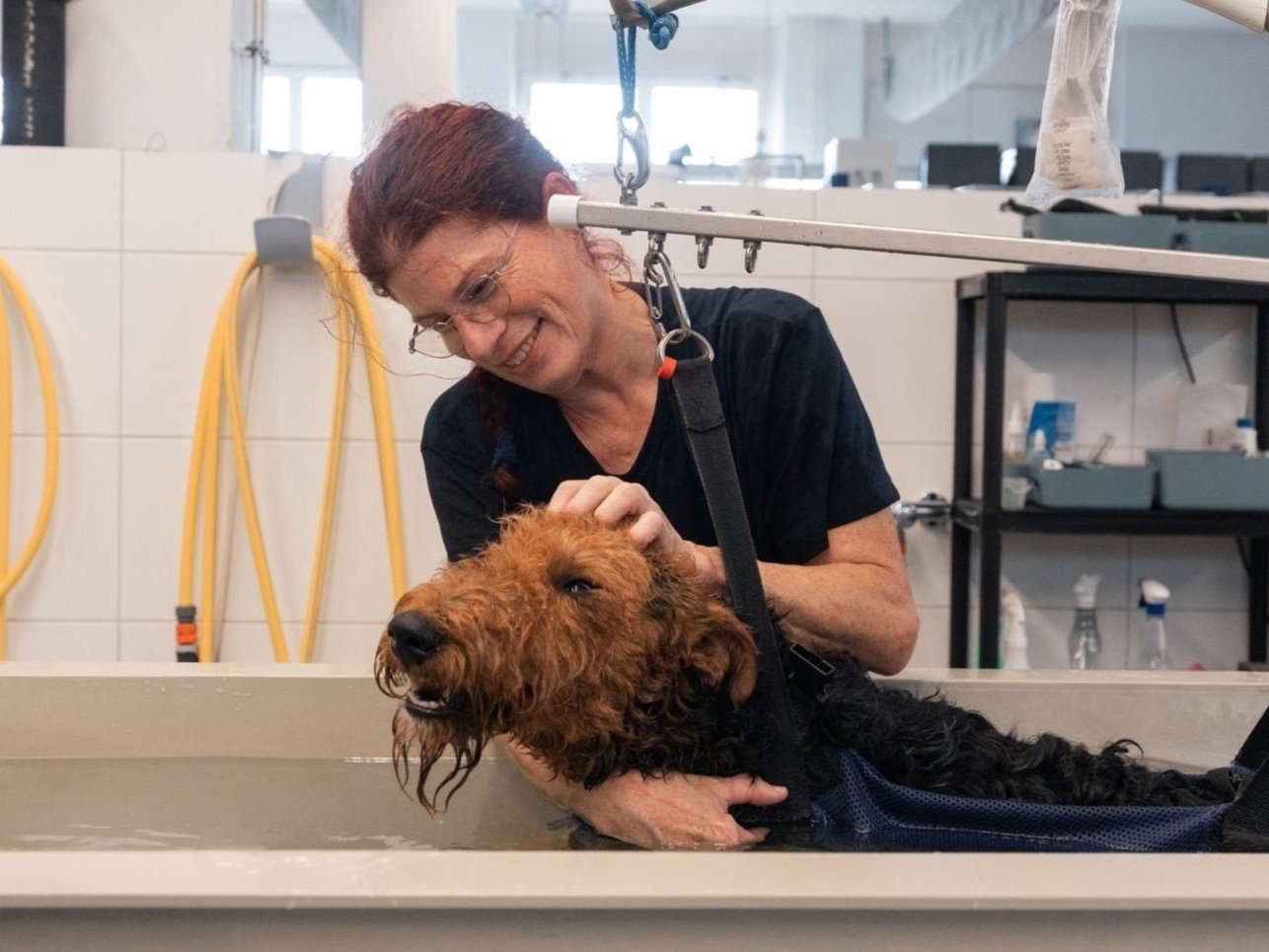 Sporthund in der Therapie