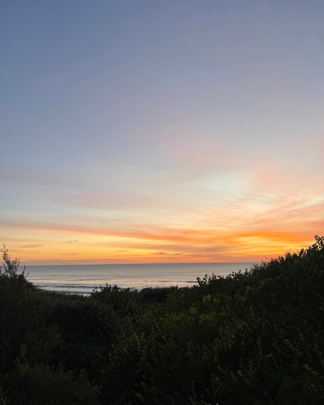 the view from our back deck