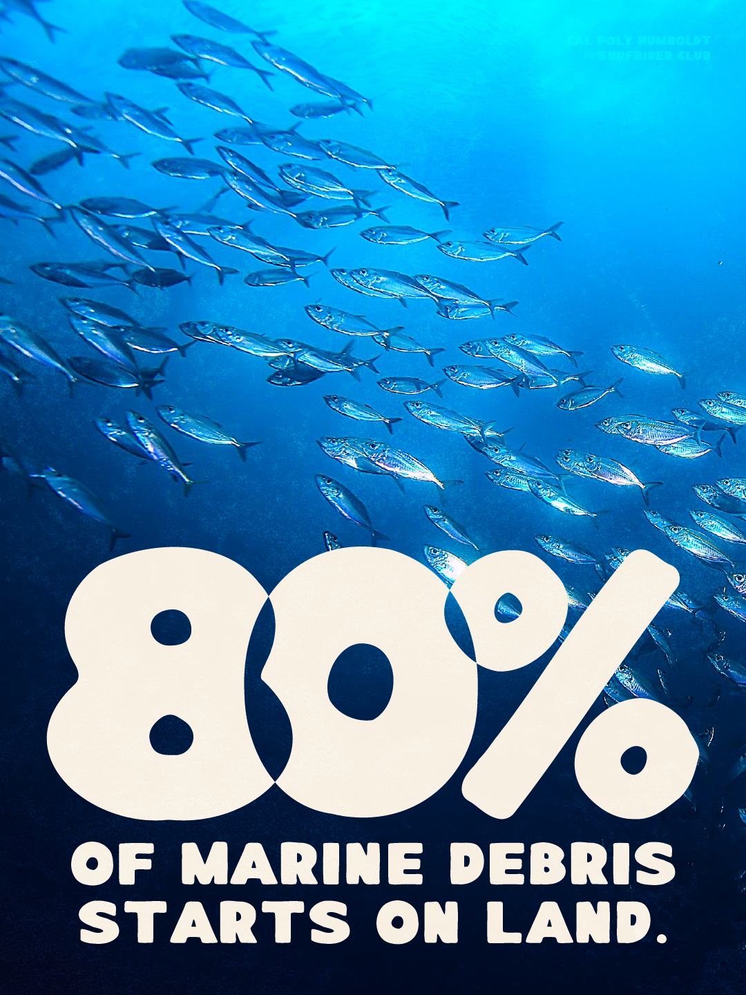 MarineDebris.png