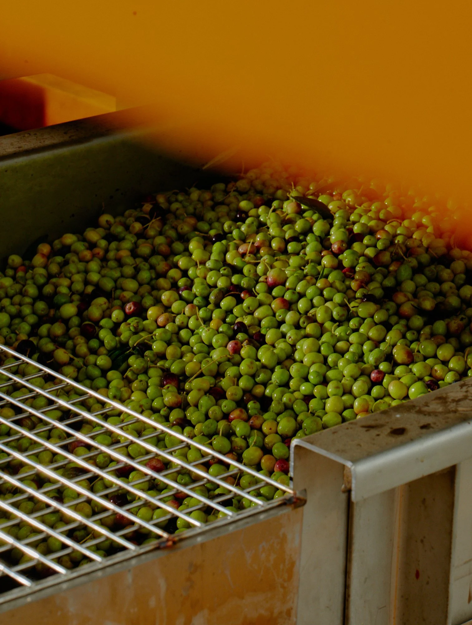 Oranssi project: wraparound deck