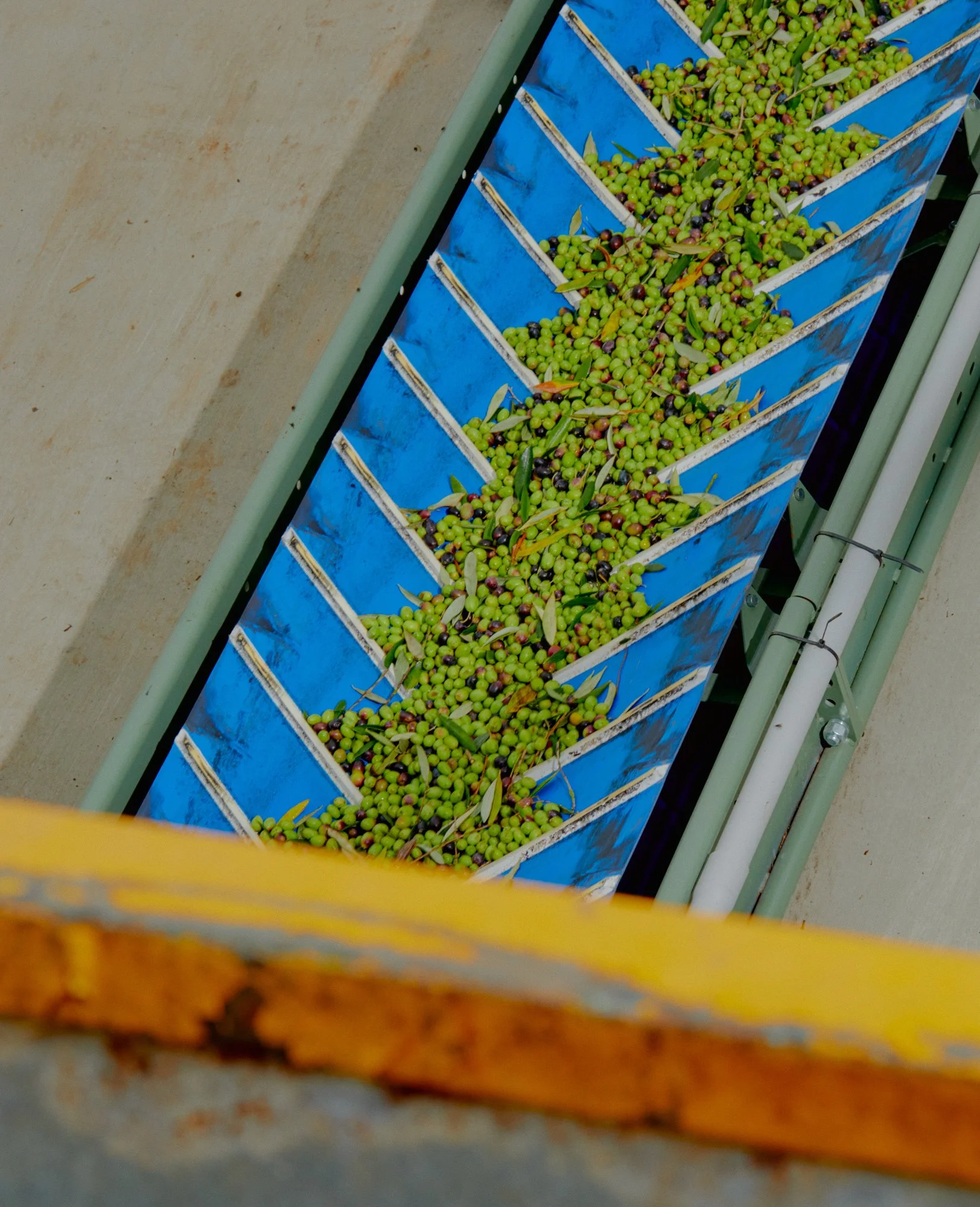 Oranssi project: studio shed