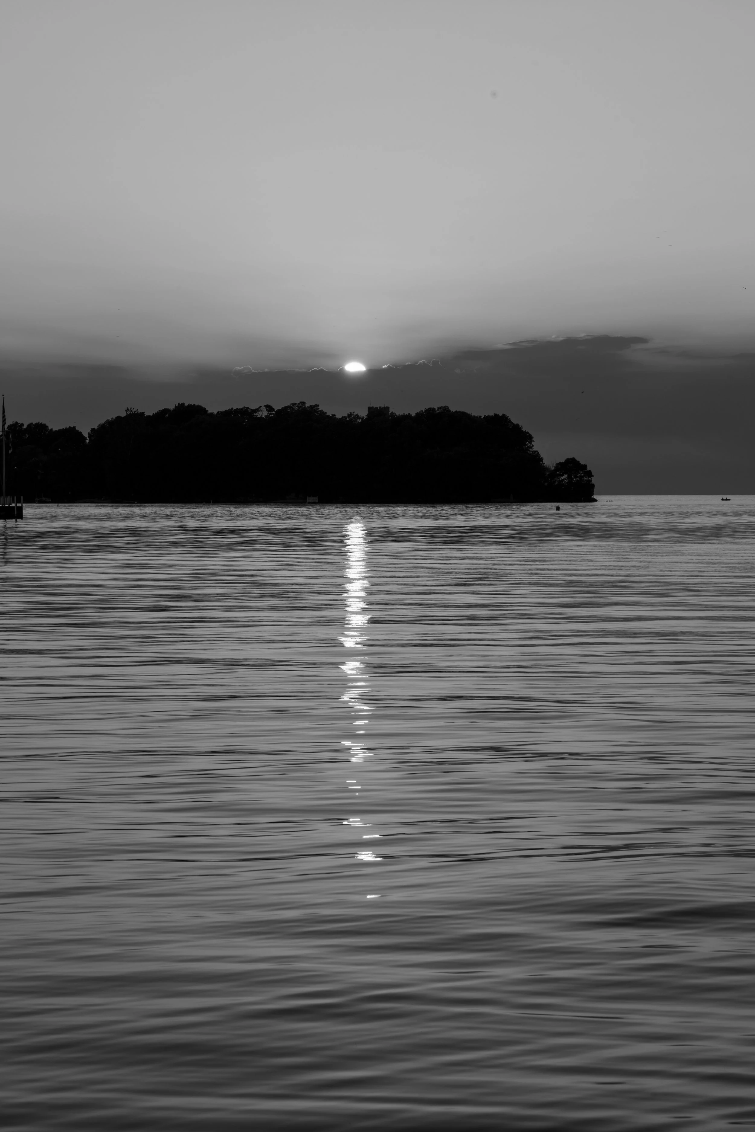 IMG_9498.jpg