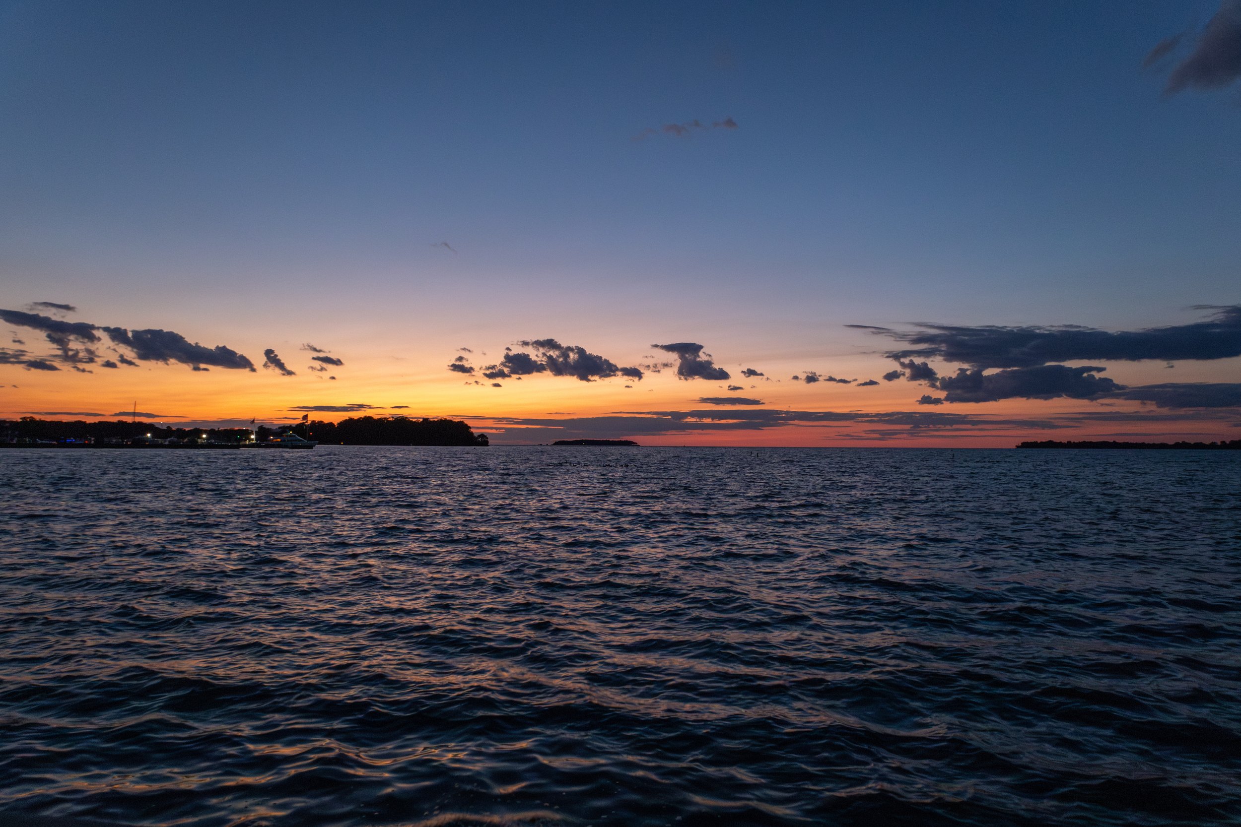 IMG_9795.jpg
