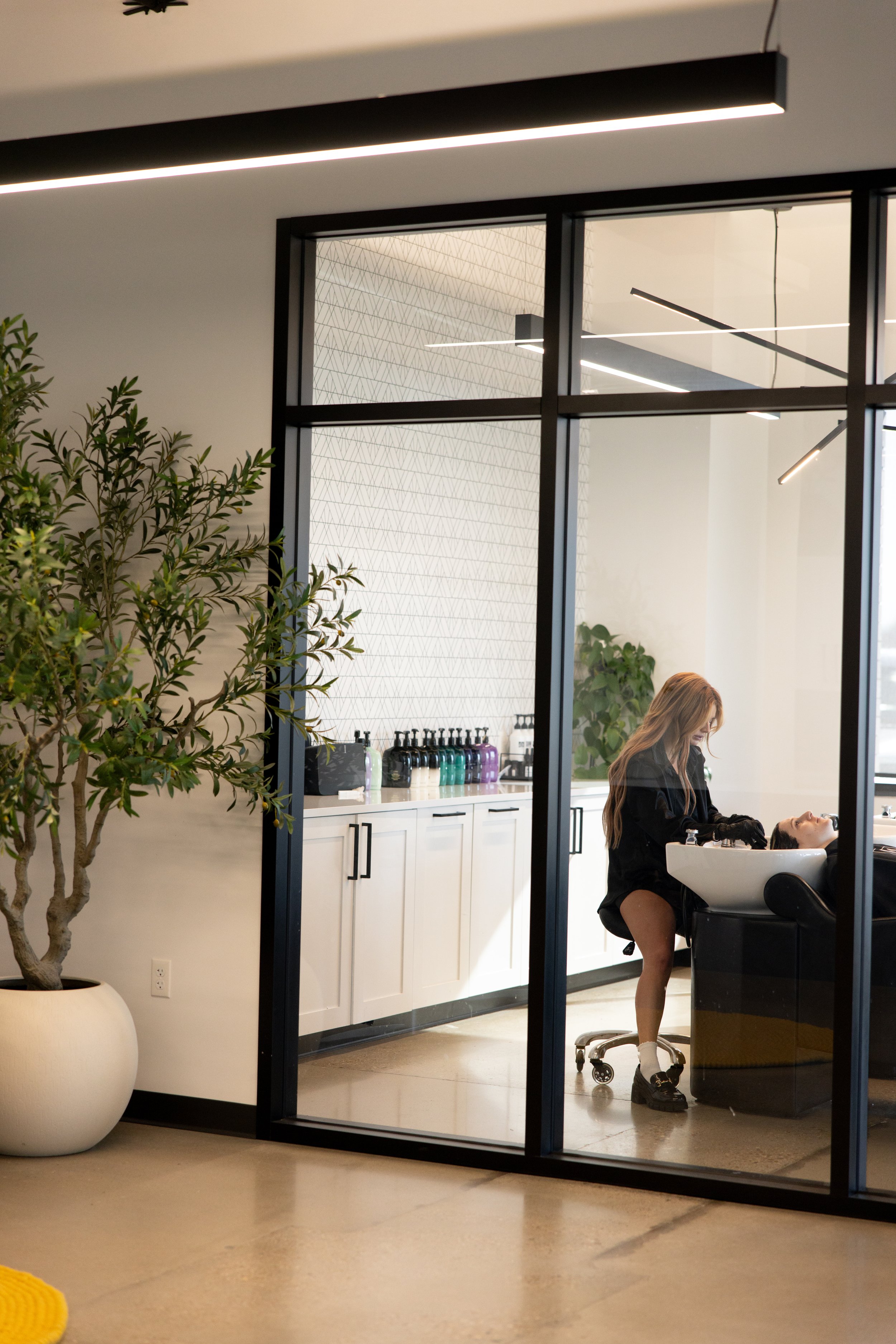 A woman gets her hair washed at a salon sink inside a modern, glass-enclosed room. There is a large potted plant outside the room and bottles of hair products on a white cabinet in the background.