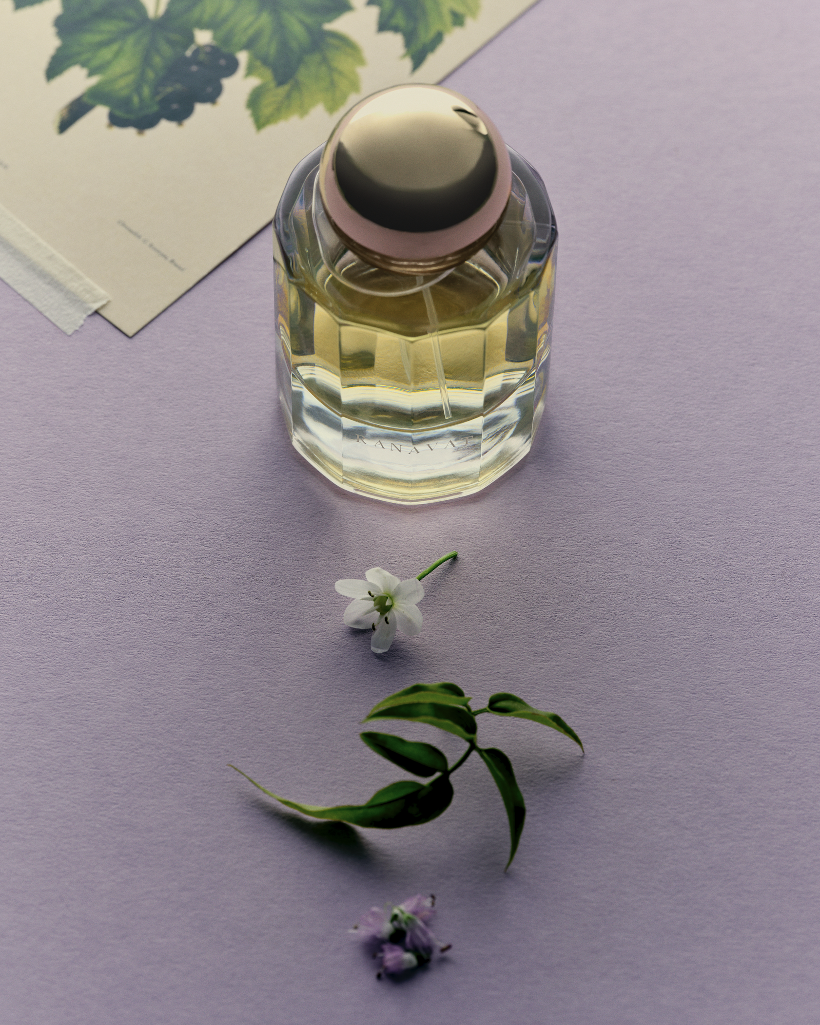 pepper-artists-olivia-crouppen-ranavat-fragrance-2.png