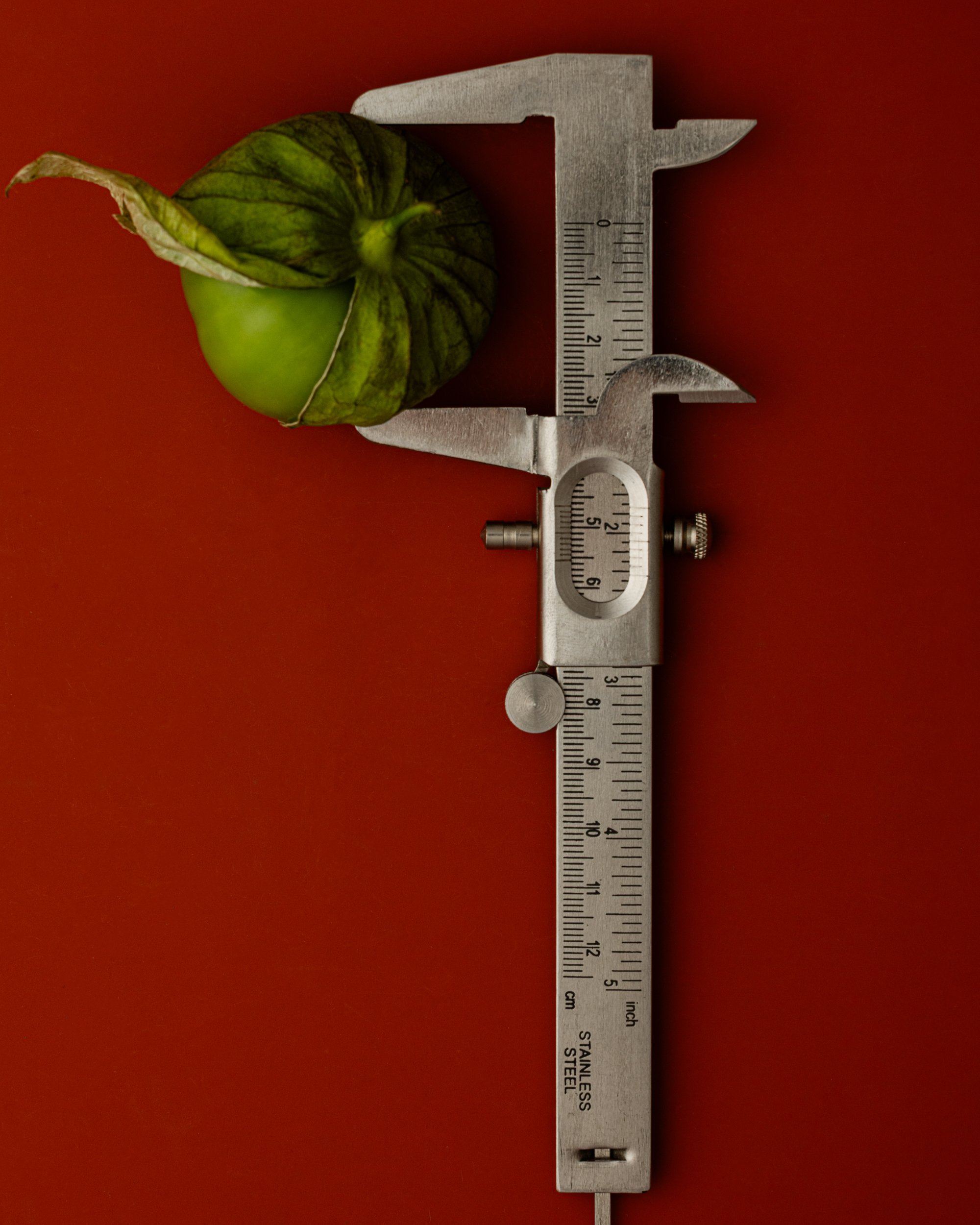 pepper-artists-olivia-crouppen-object-study-9.jpg