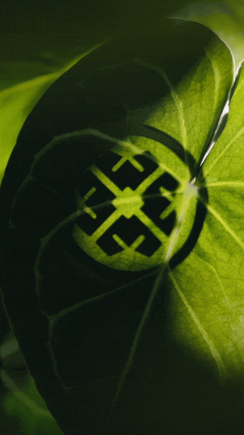 Tatcha Logo.gif