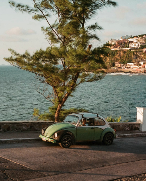 A vintage green Volkswagen Beetle car parked on a seaside road with a tree beside it, overlooking the water and a distant hillside with buildings.
