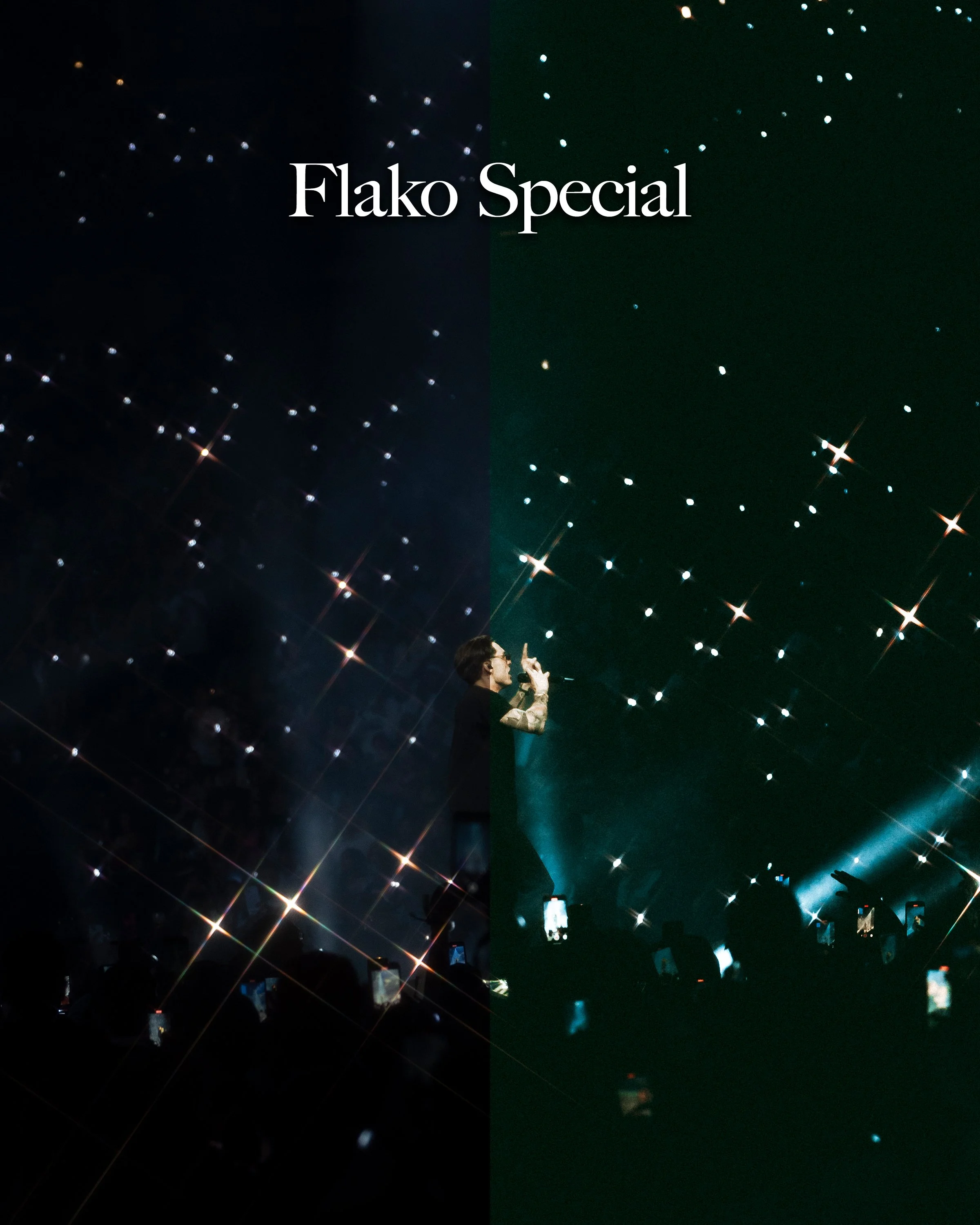 FlakoSpecial B&A.jpg