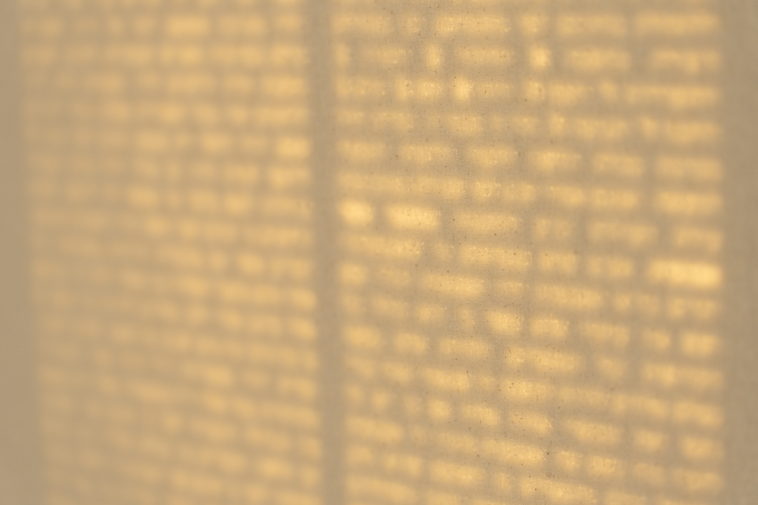5 texts (Erfurt 2025), photograph 1 of 10