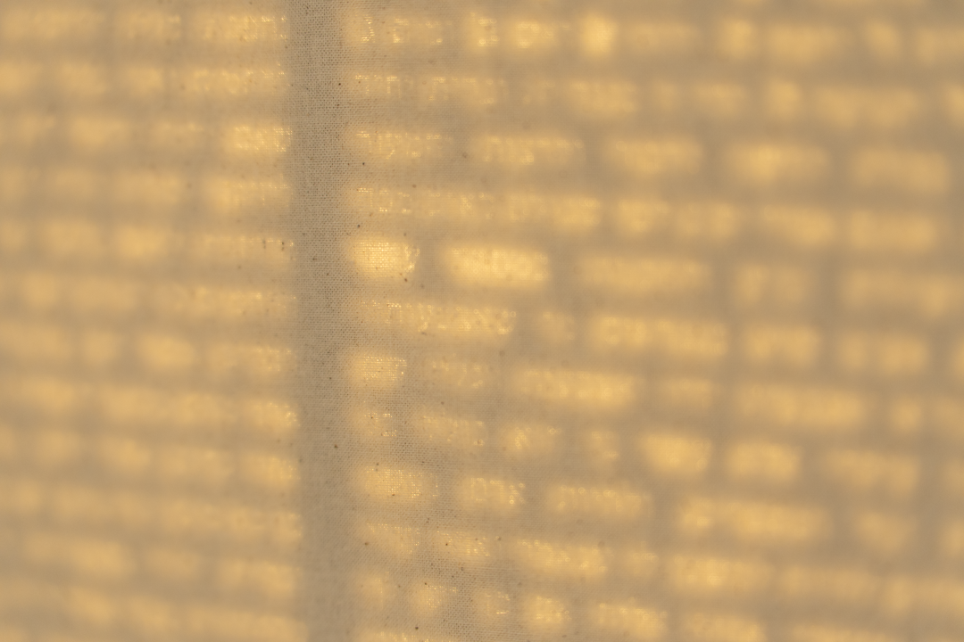5 texts (Erfurt 2025), photograph 2 of 10