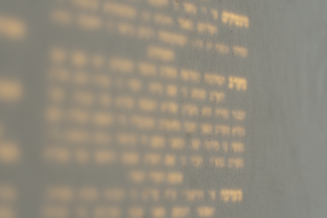 5 texts (Erfurt 2025), photograph 3 of 10