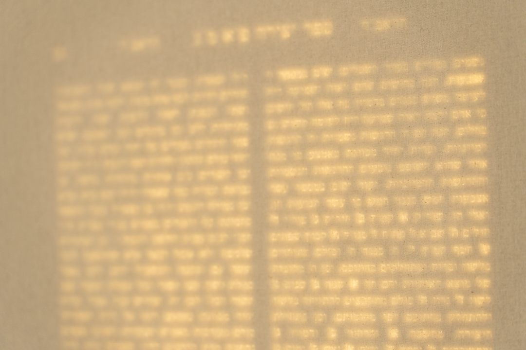 5 texts (Erfurt 2025), photograph 4 of 10