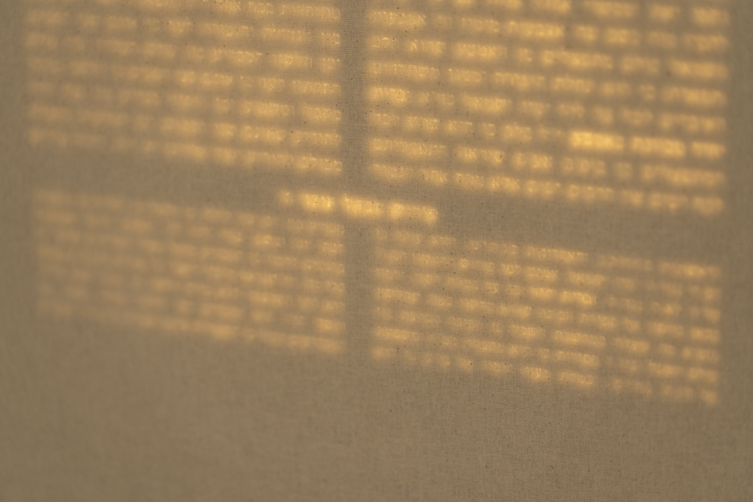 5 texts (Erfurt 2025), photograph 6 of 10