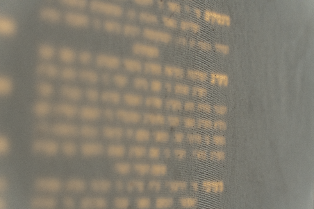5 texts (Erfurt 2025), photograph 10 of 10