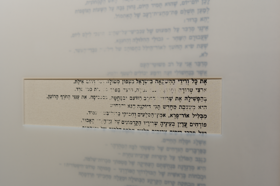 5 books (Erfurt 2025), photograph 10 of 12