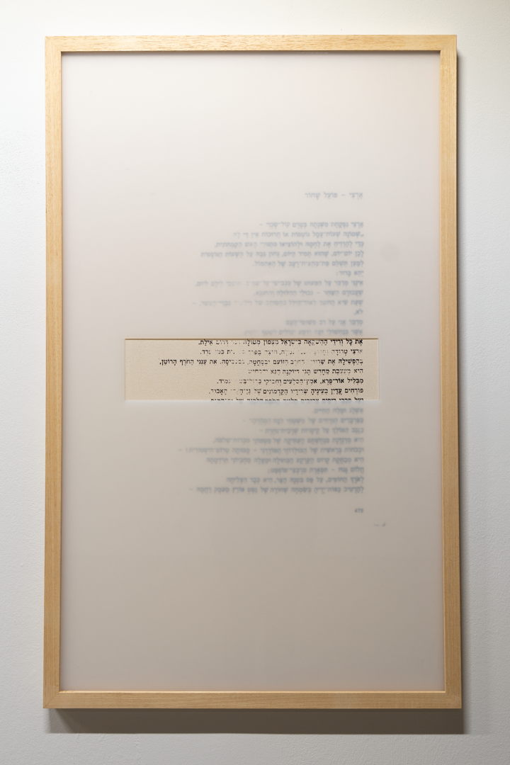 5 books (Erfurt 2025), photograph 12 of 12