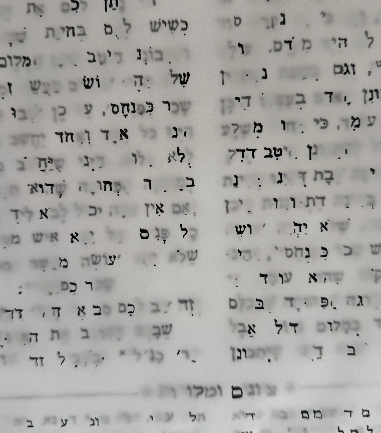 page33.jpg