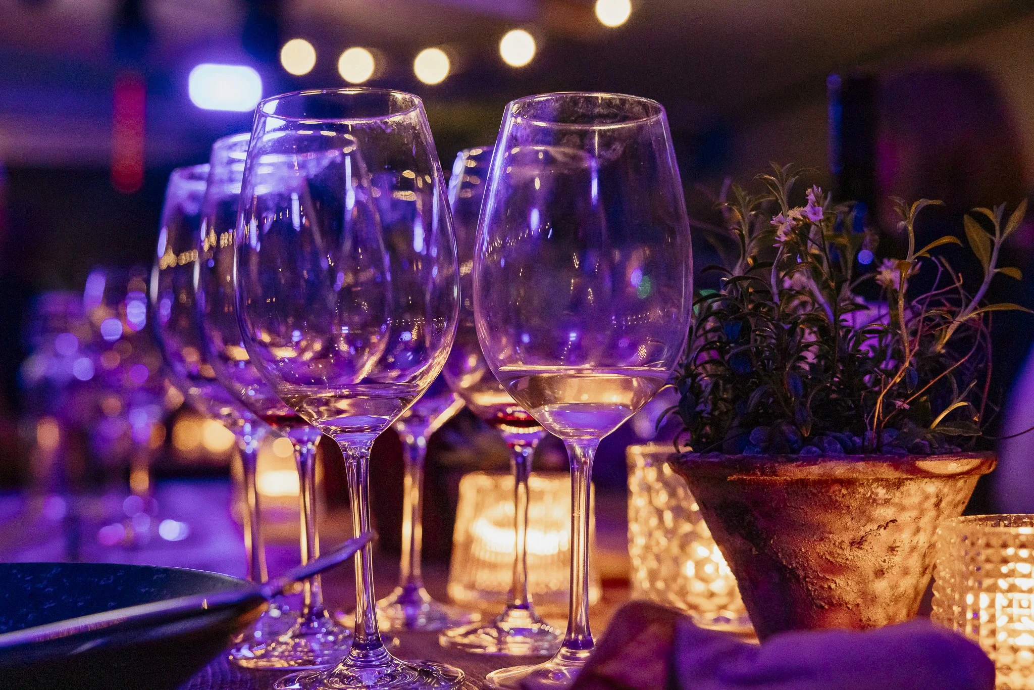 Genial_Delikat_Eventagentur_Jubiläum-12.jpg