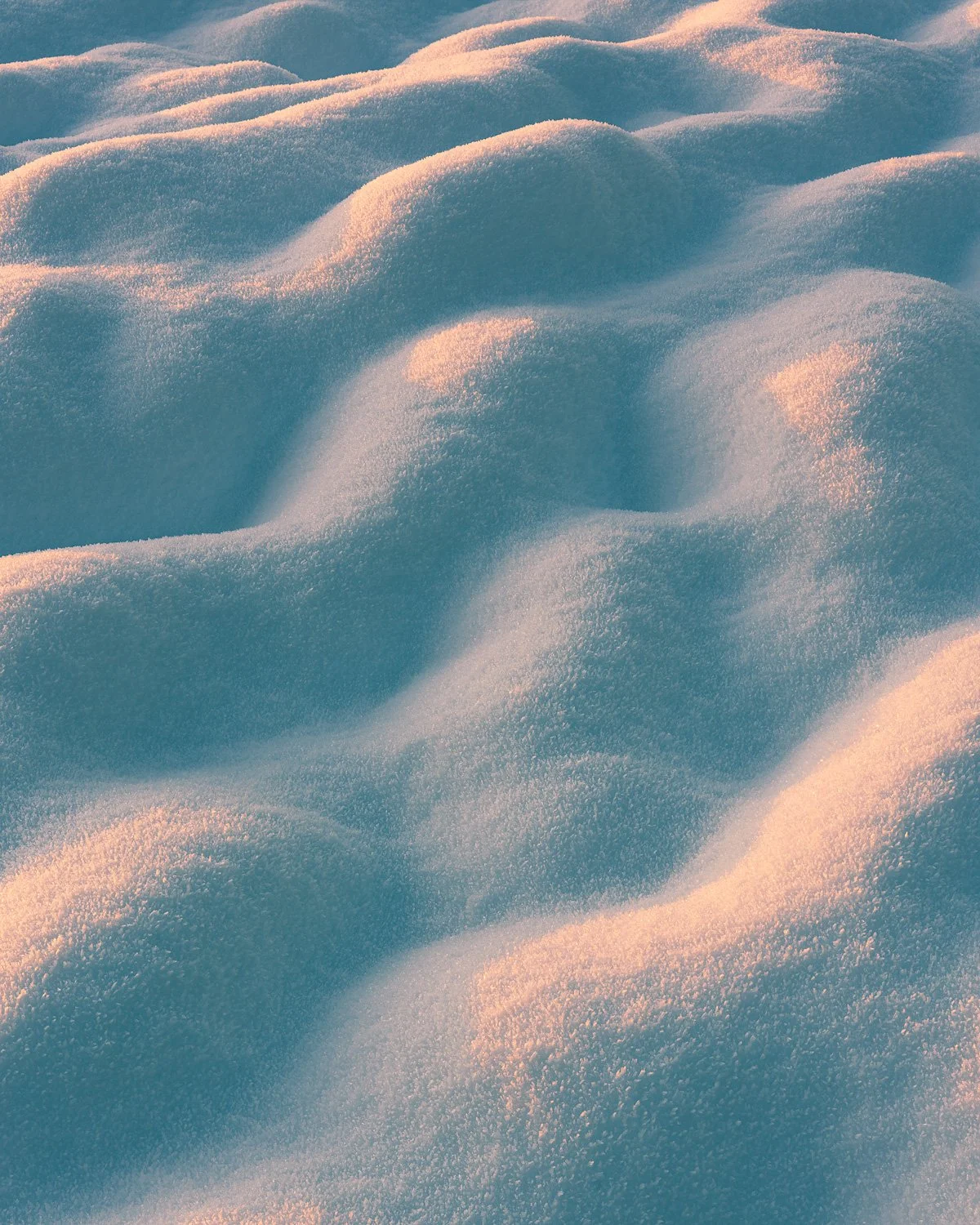 Blanket