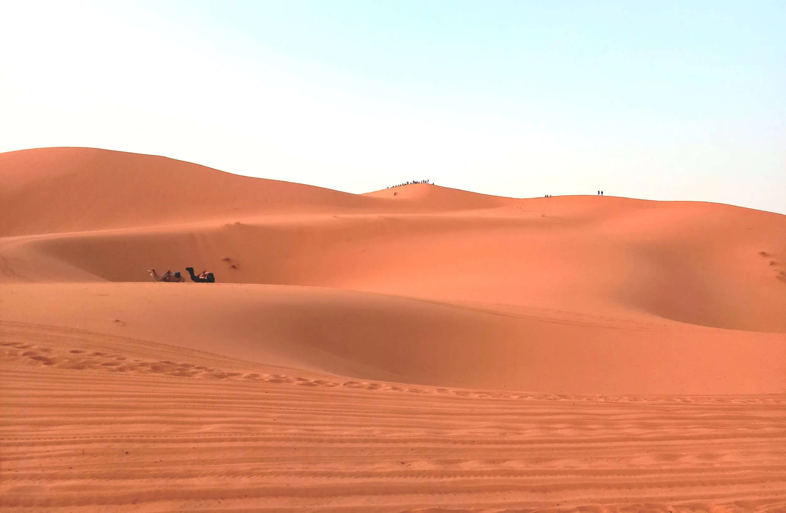 Schönen Dünen in Süden Marokko