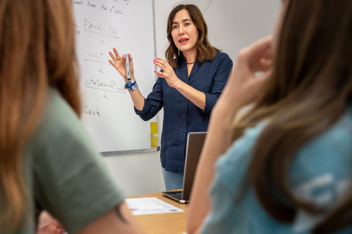 maths tutoring crows nest