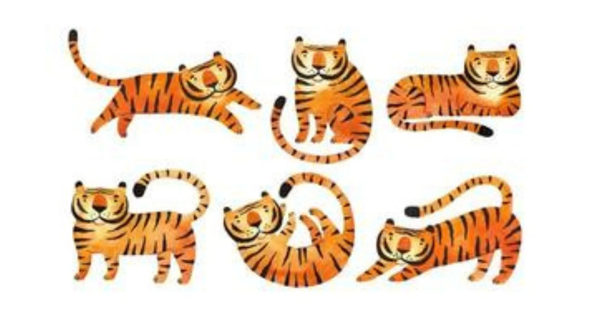 I used Vladyslava's tiger for this project.