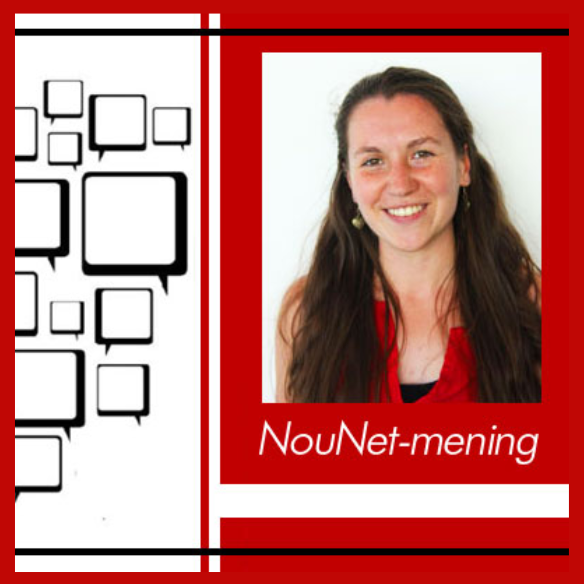 Litnet: NouNet-mening