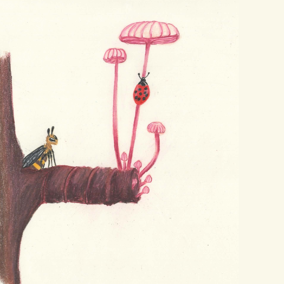 Prompt 26: Ladybug