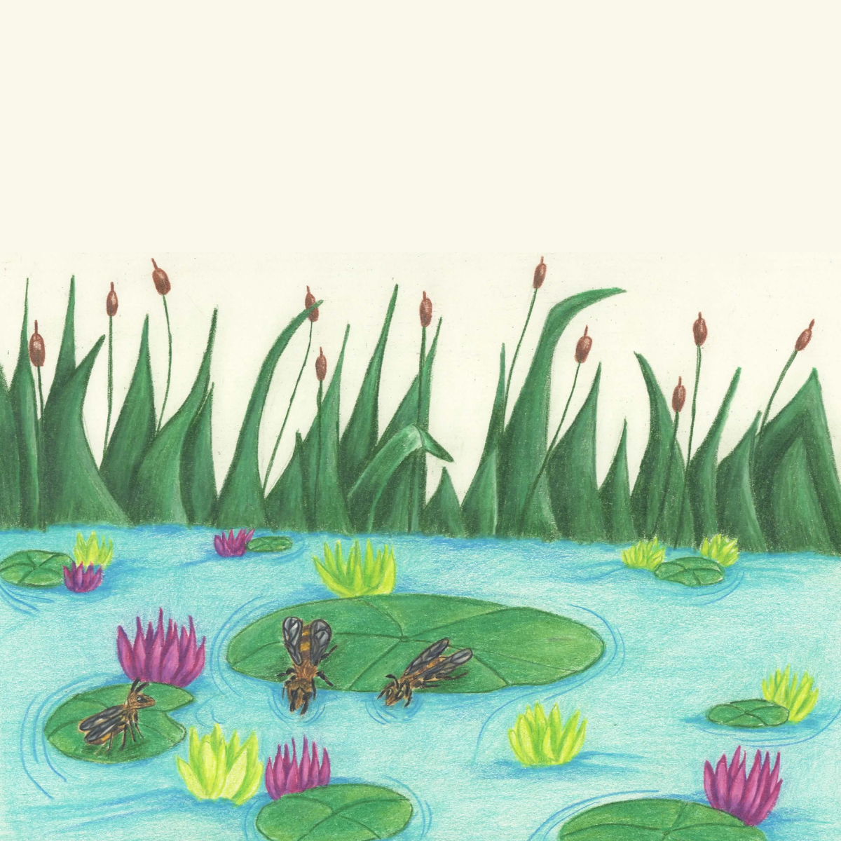 Prompt 27: Pond