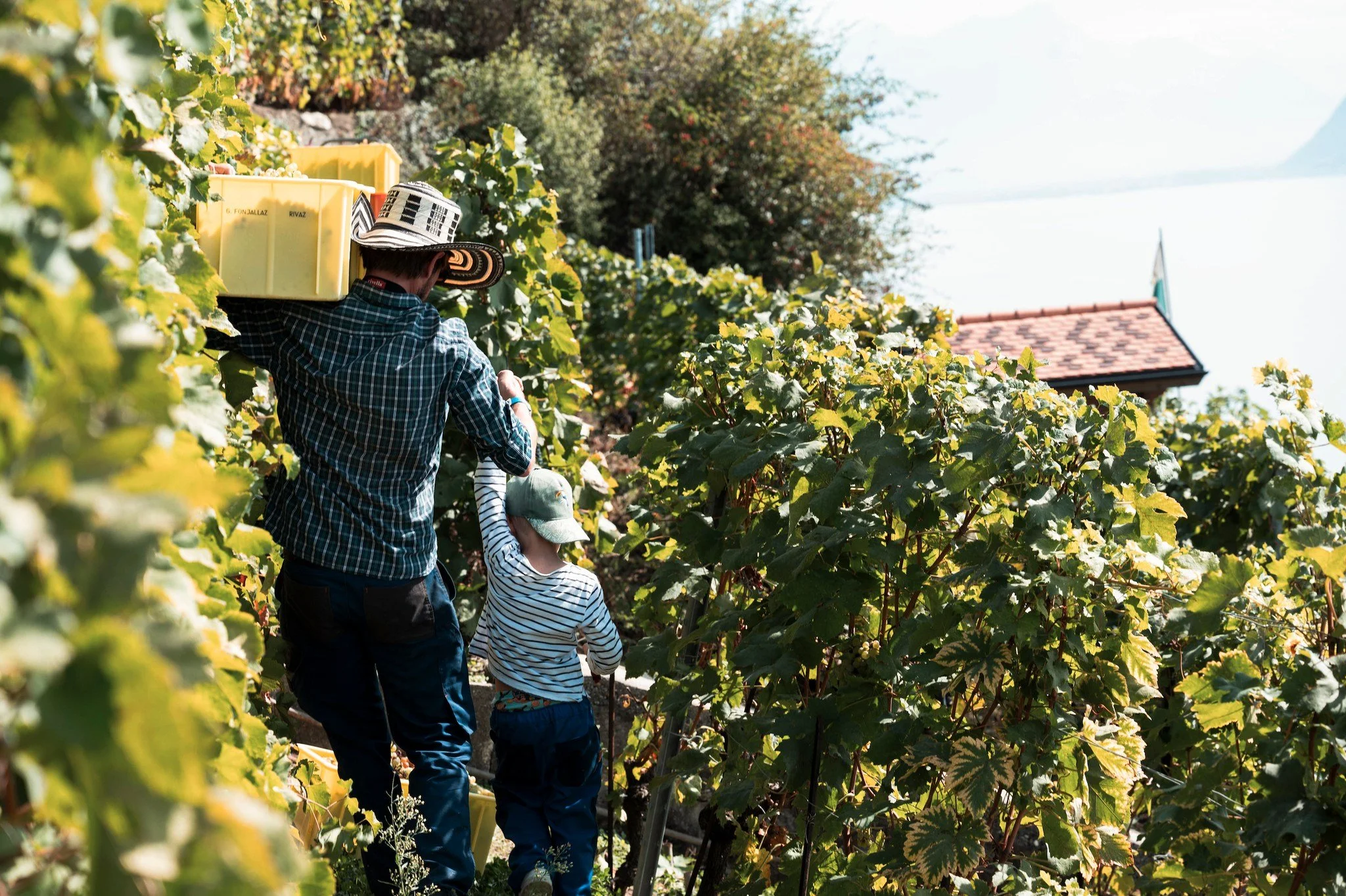 🌿 Cultiver aujourd'hui, penser &agrave; demain.

La plus belle r&eacute;colte n'est pas toujours celle que l'on met en bouteille.

C'est aussi celle que l'on transmet aux g&eacute;n&eacute;rations futures : une terre vivante, des sols fertiles et un