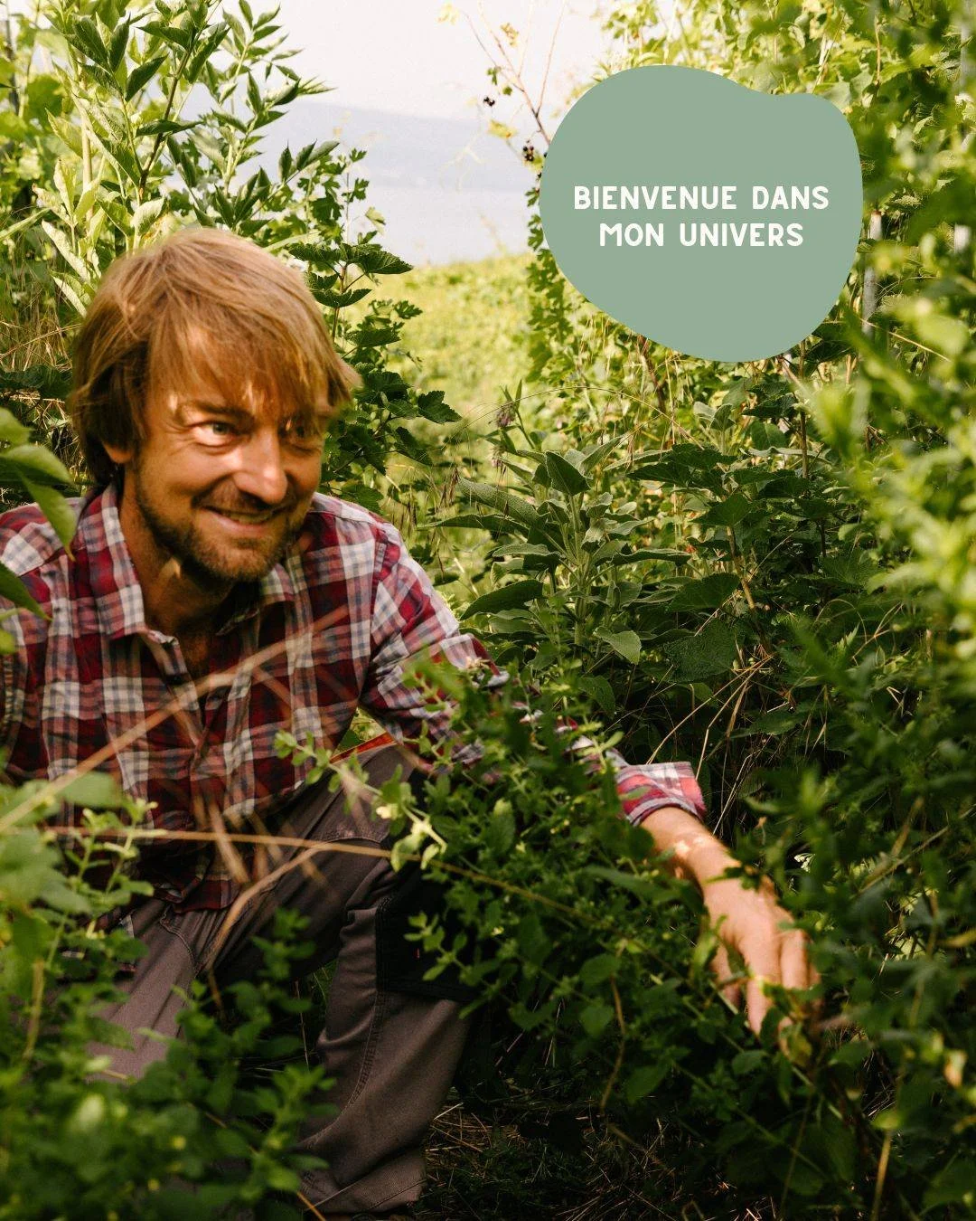 Je m'appelle Andr&eacute; B&eacute;lard, je suis &oelig;nologue, vigneron-encaveur et le fondateur du Domaine Les Dryades, &agrave; Rivaz, au c&oelig;ur de Lavaux.

Depuis plusieurs ann&eacute;es, j'explore une autre fa&ccedil;on de cultiver la vigne