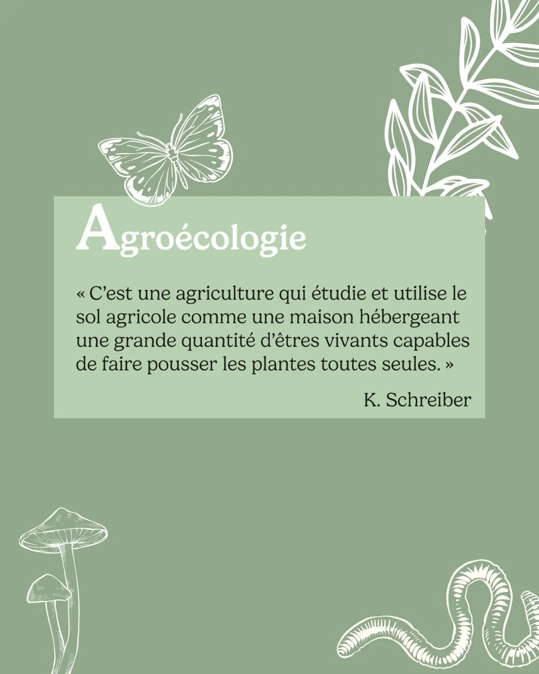 Des sols vivants, une biodiversit&eacute; foisonnante et des vins qui racontent leur terroir. 

#domainelesdryades #lavaux #rivaz #agroecologie #solvivant #biodiversite #vinvaudois #vigneron #viticulturedurable