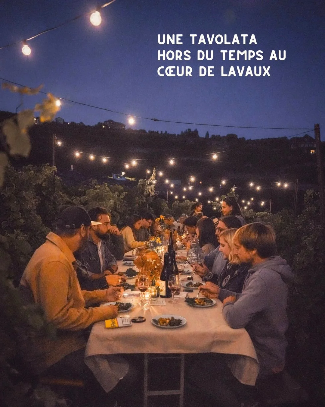 Et si vous preniez place &agrave; une grande table dress&eacute;e entre ciel, vignes et L&eacute;man ?

Au Domaine Les Dryades, les vignes ne poussent jamais seules. Entre les ceps, Andr&eacute; B&eacute;lard cultive l&eacute;gumes, herbes aromatique