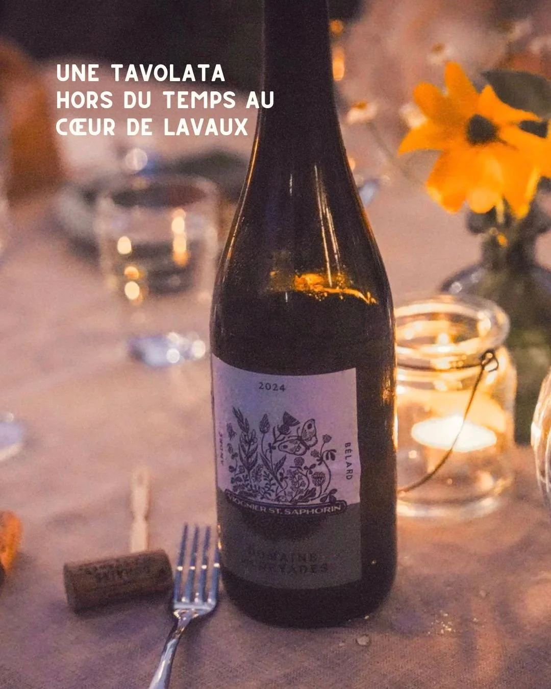 Derni&egrave;res places pour nos Tavolatas !

Ne manquez pas cette exp&eacute;rience unique au c&oelig;ur des vignes du Domaine Les Dryades.

Une grande tabl&eacute;e entre ciel et L&eacute;man, une cuisine de saison imagin&eacute;e par Camille Abegg