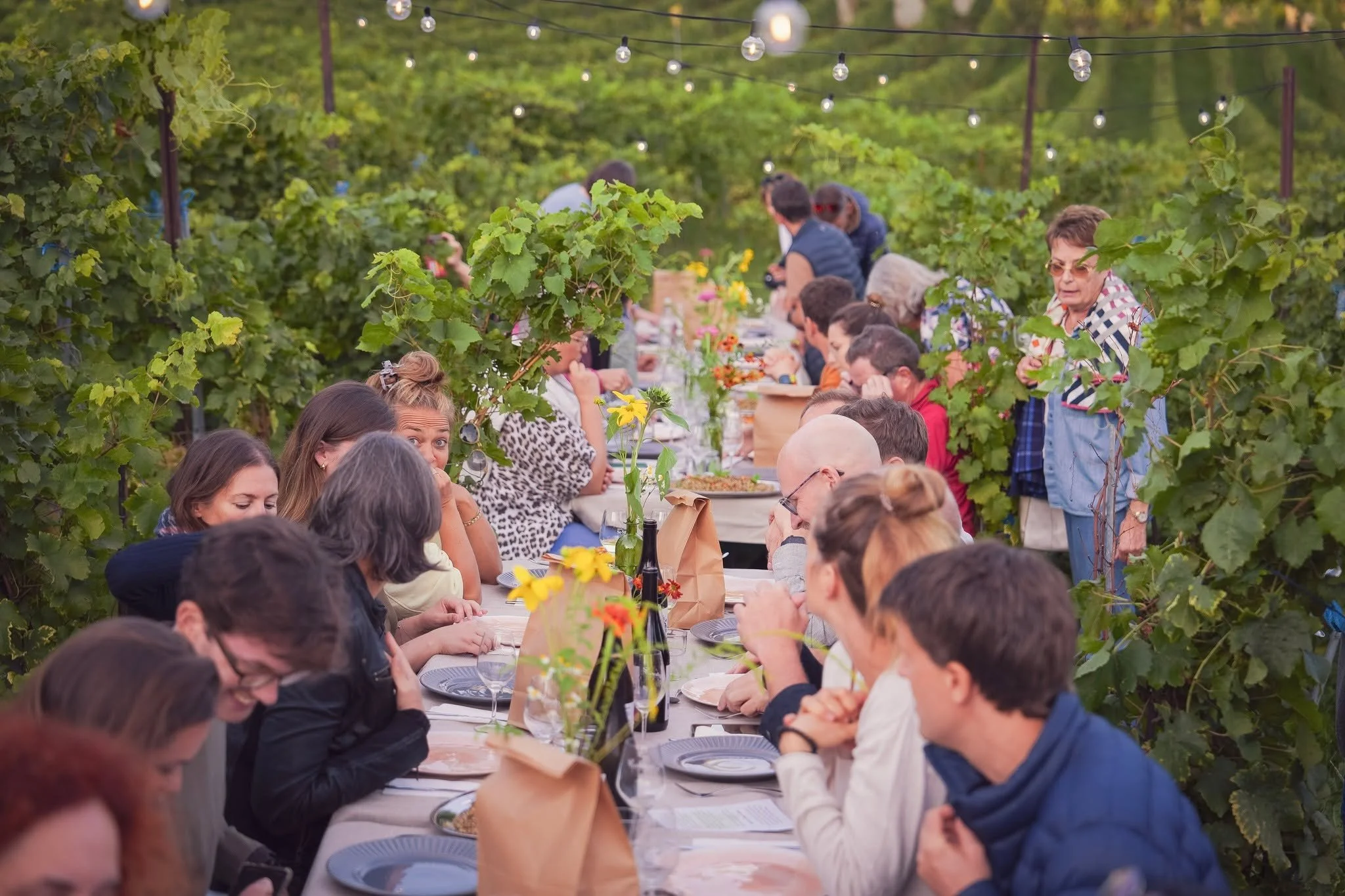Partager, au milieu des vignes.

Il y a des repas dont on se souvient longtemps.

Une grande tabl&eacute;e sous le ciel de Lavaux, les vignes qui nous entourent, le L&eacute;man en toile de fond, une cuisine de saison imagin&eacute;e par Camille Abeg