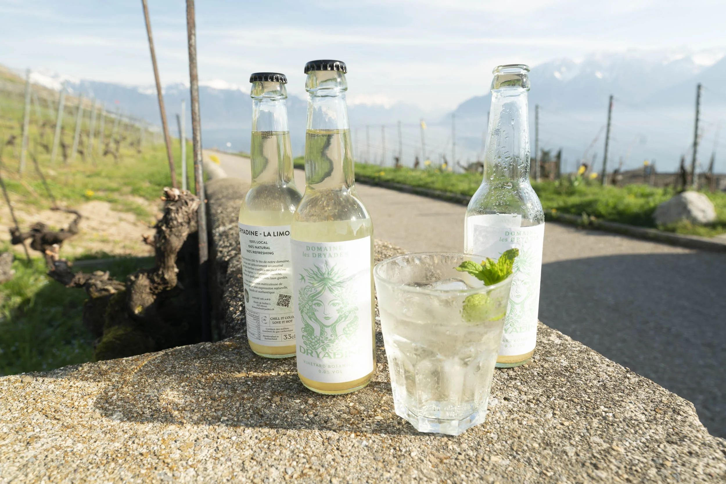 André Belard_2026_00035.jpg