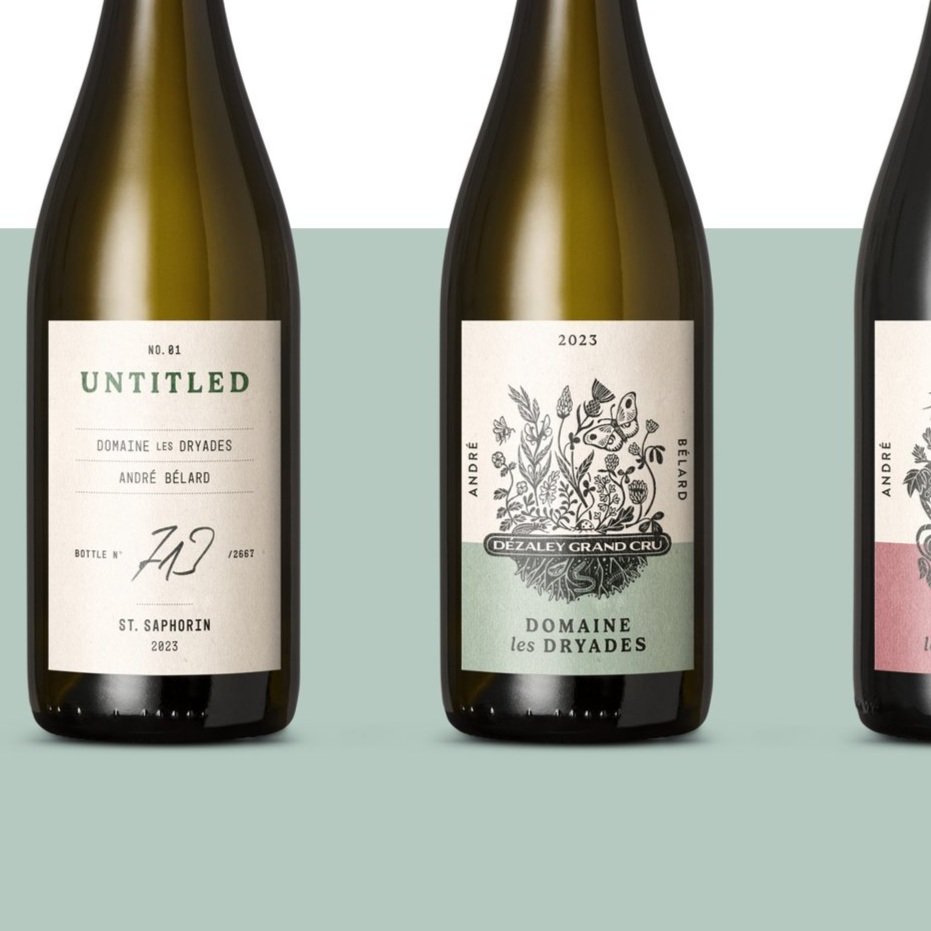 Carton de dégustation vins rouges